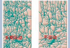儿童蜜桃APP在线观看视频厂家科普运动可以有效促进儿童智力发育